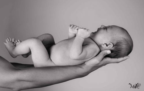 Fotografia de Maitel Fotografia - Galeria Fotografica: Recin Nacidos - Foto: 