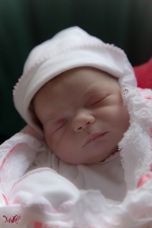 Fotografia de Maitel Fotografia - Galeria Fotografica: Recin Nacidos - Foto: 