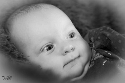 Fotografia de Maitel Fotografia - Galeria Fotografica: Recin Nacidos - Foto: 