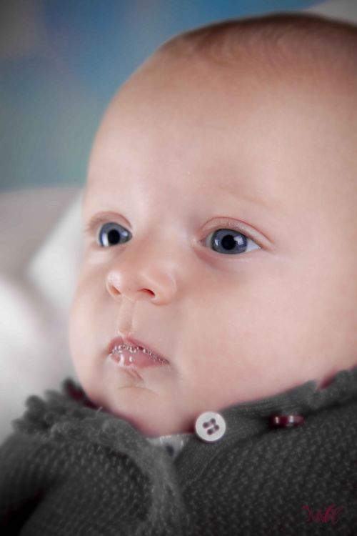 Fotografia de Maitel Fotografia - Galeria Fotografica: Recin Nacidos - Foto: 