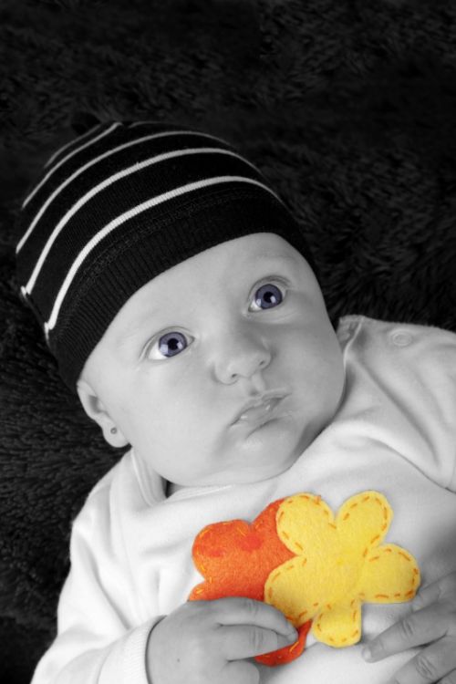 Fotografia de Maitel Fotografia - Galeria Fotografica: Recin Nacidos - Foto: 