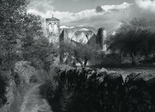 Fotografia de Imagen Dirk Borms - Galeria Fotografica: Extremadura Verde - Foto: Trujillo