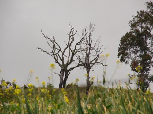 Fotografia de soma - Galeria Fotografica: de todo un poco - Foto: miralas