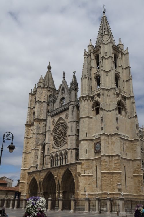 Fotografia de Roberto Lazo - Galeria Fotografica: Pulchra Leonina - Foto: 