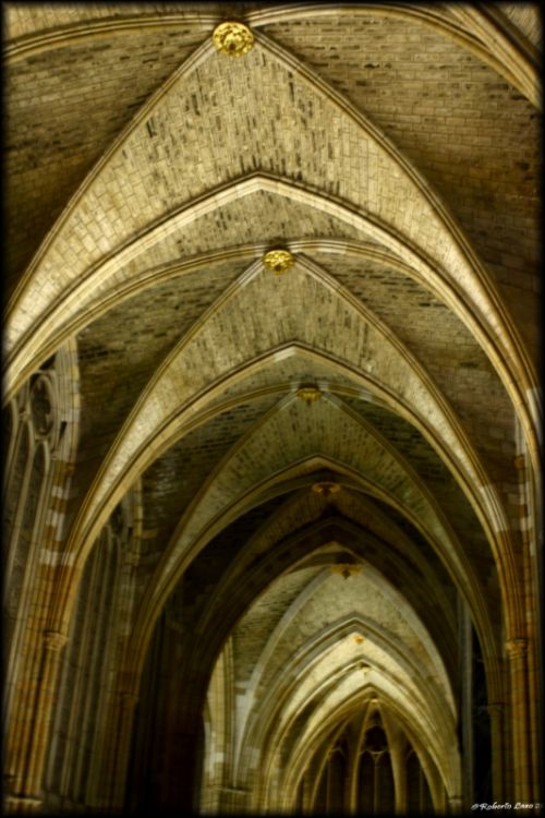 Fotografia de Roberto Lazo - Galeria Fotografica: Pulchra Leonina - Foto: Planta central