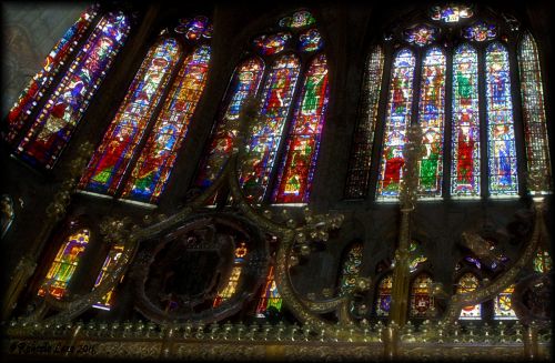 Fotografia de Roberto Lazo - Galeria Fotografica: Pulchra Leonina - Foto: Vitrales