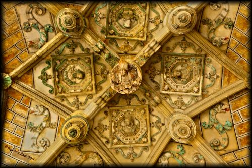 Fotografia de Roberto Lazo - Galeria Fotografica: Pulchra Leonina - Foto: Techo del claustro 