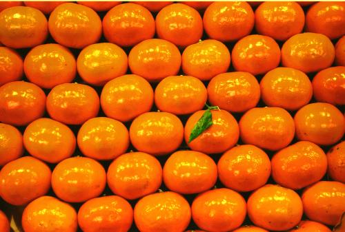 Fotografia de Lo Rocha - Galeria Fotografica: La Boqueria - Foto: Laranja