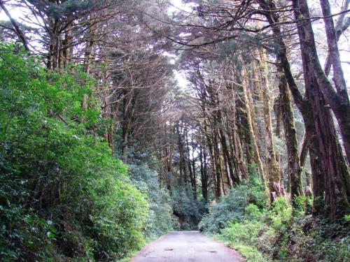 Fotografia de soma - Galeria Fotografica: macro - Foto: monte de la cruz