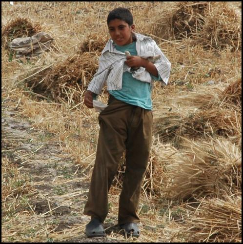 Fotografia de Alejandro G. - Galeria Fotografica: Varias #3 - Foto: Sin Dinero