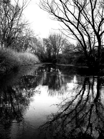 Fotografia de u - Galeria Fotografica: ByN - Foto: Rio Henares