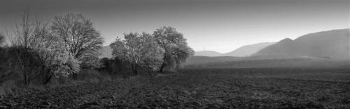 Fotografia de u - Galeria Fotografica: ByN - Foto: Chiloeches