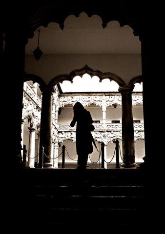 Fotografia de u - Galeria Fotografica: ByN - Foto: Palacio del infantado