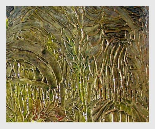 Fotografia de DAPACU - Galeria Fotografica: Retratos - Foto: QUE VES?								