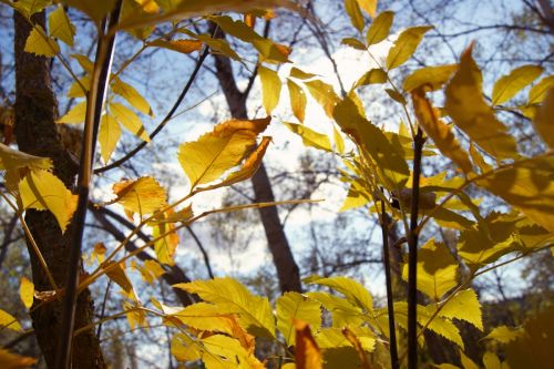 Fotografia de Floriana  - Galeria Fotografica: Otoo - Foto: Colores