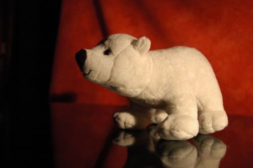 Fotografia de Tanya - Galeria Fotografica: Stock - Foto: El oso