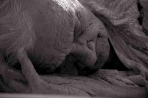 Fotografia de marta - Galeria Fotografica: Varios - Foto: 