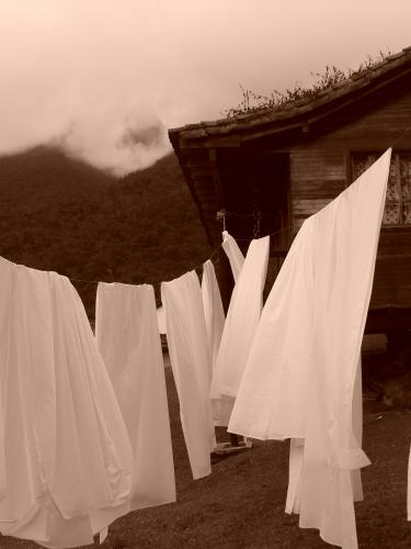 Fotografia de SERRATO - Galeria Fotografica: COSAS - Foto: limpio