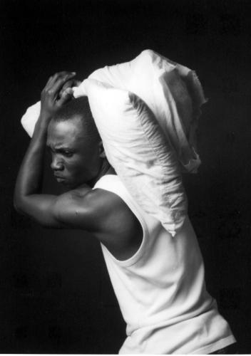 Fotografia de cappolavoro - Galeria Fotografica: ARTE - Foto: ZEBRA 1