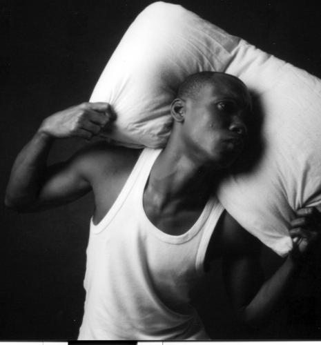 Fotografia de cappolavoro - Galeria Fotografica: ARTE - Foto: ZEBRA 2