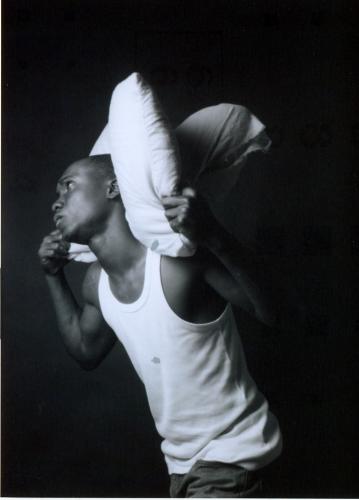 Fotografia de cappolavoro - Galeria Fotografica: ARTE - Foto: ZEBRA 4