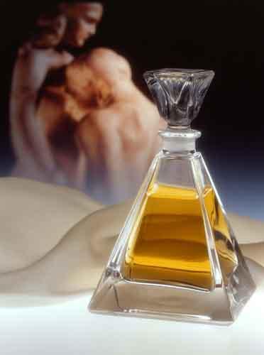 Fotografia de zoom - Galeria Fotografica: MIS FOTOS - Foto: 								