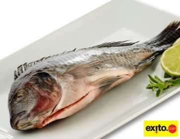 Fotografia de 505 PRODUCTORA - Galeria Fotografica: PRODUCCION PARA CAMPA�AS - Foto: 