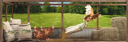 Fotografia de 505 PRODUCTORA - Galeria Fotografica: PRODUCCION PARA CAMPA�AS - Foto: 