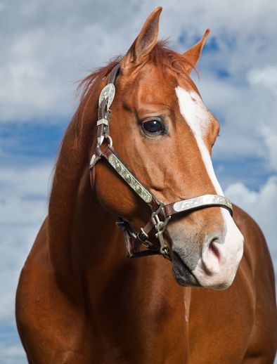 Fotografia de 505 PRODUCTORA - Galeria Fotografica: PRODUCCION PARA CAMPAAS - Foto: 