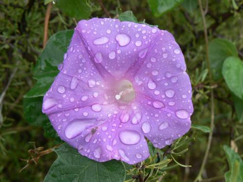 Fotografia de Velluter - Galeria Fotografica: Apuntes varios - Foto: Rocio