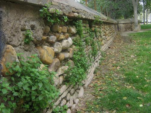 Fotografia de arboleo - Galeria Fotografica: por el parque - Foto: muro de piedra