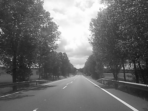 Fotografia de Stopspeed800allway - Galeria Fotografica: Viajes en coche - Foto: 