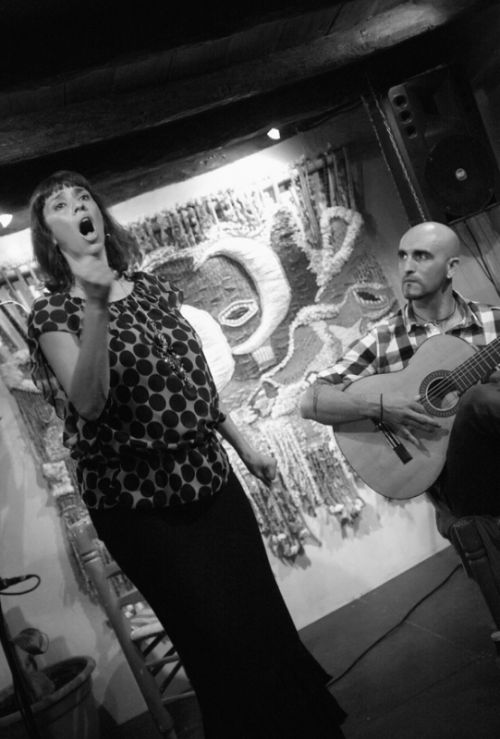 Fotografia de jumali - Galeria Fotografica: flamenco - Foto: Flamenco