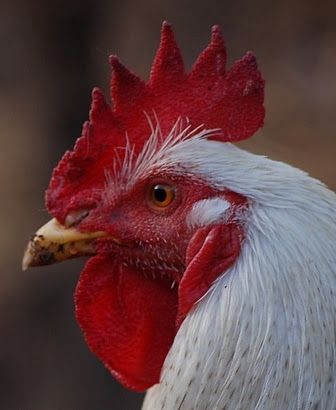 Fotografia de hobbycorp - Galeria Fotografica: somos - Foto: 