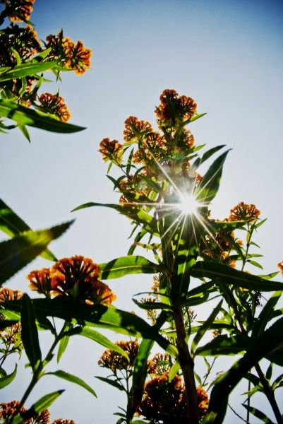 Fotografia de L�ZARO SANDOVAL M. FOT�GRAFO - Galeria Fotografica: Obra de reciente creaci�n - Foto: 