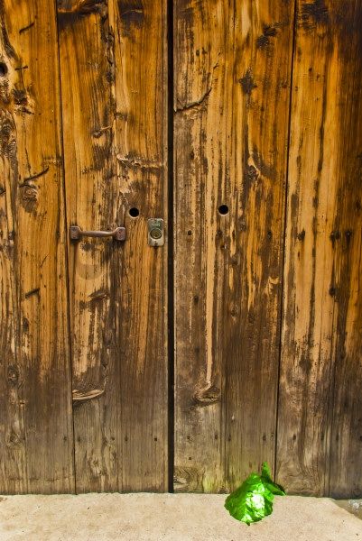 Fotografia de L�ZARO SANDOVAL M. FOT�GRAFO - Galeria Fotografica: Obra de reciente creaci�n - Foto: 