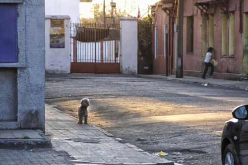 Fotografia de David - Galeria Fotografica: Santiago antiguo - Foto: 