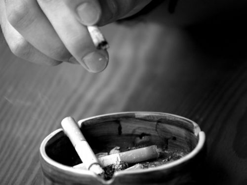 Fotografia de Tadel - Galeria Fotografica: 2010 - Foto: vicio