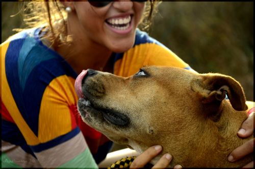 Fotografia de Tadel - Galeria Fotografica: 2011 - Foto: amor