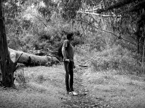 Fotografia de Tadel - Galeria Fotografica: 2011 - Foto: buscando mi camino