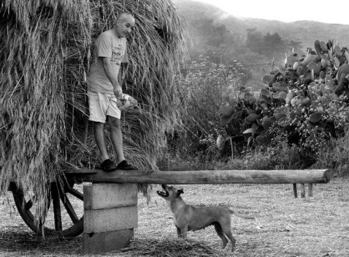 Fotografia de Tadel - Galeria Fotografica: 2010 - Foto: 