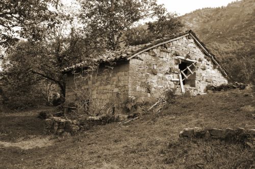 Fotografia de Juan Fernando Pareja Garcia - Galeria Fotografica: PICOS DE EUROPA - Foto: 