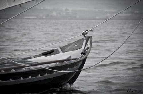 Fotografia de Francesc Juan - Galeria Fotografica: Vela latina - Foto: 