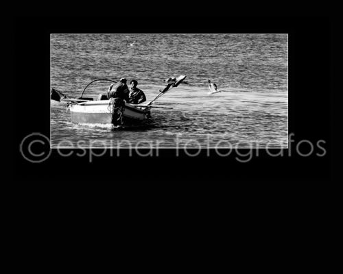 Fotografia de Espinar Fotgrafos - Galeria Fotografica: Algo de ni trabajo - Foto: 