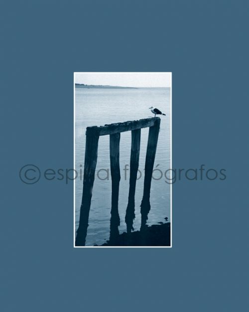 Fotografia de Espinar Fot�grafos - Galeria Fotografica: Algo de ni trabajo - Foto: 