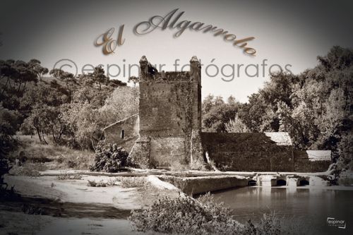 Fotografia de Espinar Fotgrafos - Galeria Fotografica: Algo de ni trabajo - Foto: 