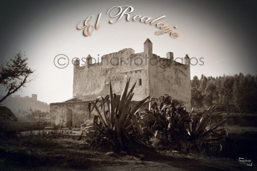 Fotografia de Espinar Fot�grafos - Galeria Fotografica: Algo de ni trabajo - Foto: 