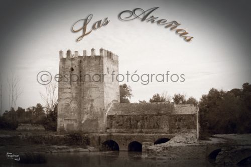 Fotografia de Espinar Fotgrafos - Galeria Fotografica: Algo de ni trabajo - Foto: 