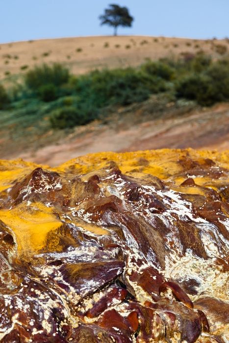 Fotografia de Pedro - Galeria Fotografica: Vistas - Foto: El Tinto