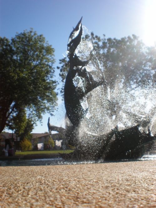 Fotografia de REG - Galeria Fotografica: California - Foto: Bella fuente